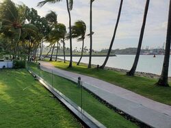 Ocean Drive (D4), Detached #351335631